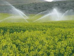 بهره ‏برداری از طرح تامین شبكه آبیاری قطره ای ‏تنگ ملكشاهی