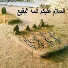 احیای آثار اسلامی با پاسداشت سالروز تخریب قبور ائمه بقیع (ع)