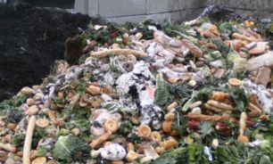 هدر رفت یک چهارم مواد غذایی تولیدی جهان