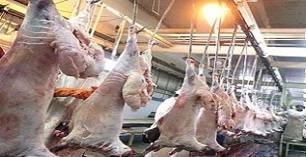 کاهش 40 درصدی کشتارگاه‌های سنتی در کشور