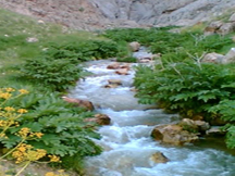 تعیین روستاهای هدف گردشگری در استان قم