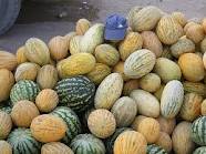 سه برابر شدن سطح زیر کشت شمام در هرمزگان