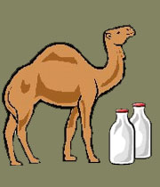 خصوصيات دارويي شير شتر