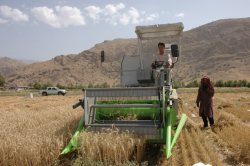 روند جذب تسهیلات كشاورزی دركهگیلویه مطلوب نیست