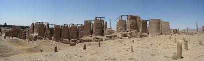 برگزاري نخستين اردوي جهادي در حوزه دامپزشکي