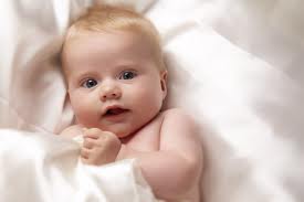 گلهای باغ زندگی