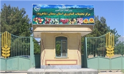 یونجه انتخابی مناسب برای کشت اراضی شور جنوب کرمان