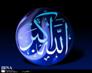 طنین بانگ الله اکبر به یمن ورود آقا