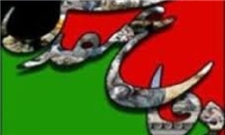 رمز موفقت رزمندگان اسلام تبعیت از ولایت بود