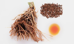 طب سنتی راهکاری مؤثر در پیشگیری از بیماری ها