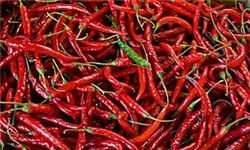 تندترین راه طبیعی لاغر شدن