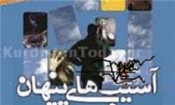 سنندج میزبان همایش ملی آسیب‌های پنهان