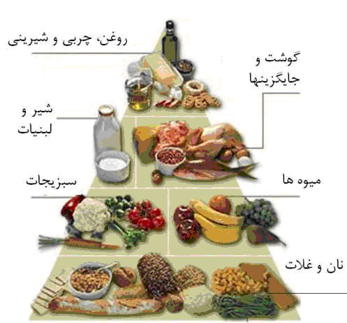 صنایع تبدیلی زنجیره ای حیاتی در تولید محصولات غذایی