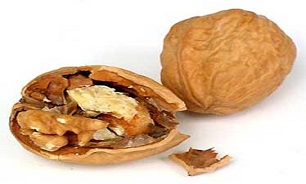 برداشت بیش از 1000 تن گردو از باغات شهرستان دالاهو پیش بینی شده است