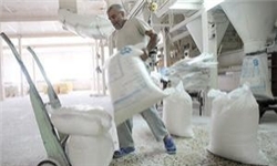 سرانه مصرف آرد رو به افزایش است