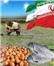 محصولات ارگانیک تولید شده در ایران استانداردهای جهانی را کسب کرد