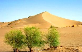 اختصاص 350 ميليارد ريال براي تسريع عمليات بيابان زدايي