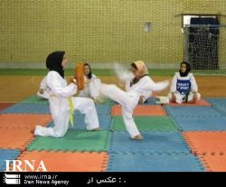 تكواندو كار شهرستان نیر مقام سوم مسابقات تكواندو نونهالان كشور را كسب كرد