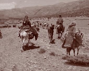 كوچ پاییزه عشایر به مناطق قشلاقی گچساران آغاز شد