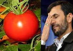 آیا وضع فعلی کم‌ اهمیت‌تر از زمان بحران گوجه‌فرنگی است؟