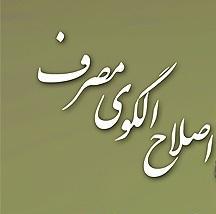 مهارت اصلاح الگوی مصرف منتشر می‌شود