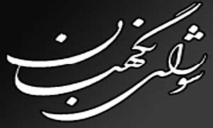 هشدار سخنگوی شورای نگهبان از آغاز فعالیت های انتخاباتی + فیلم