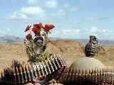 دفاع مقدس،ماندگارترين گنج معنوی ايران است