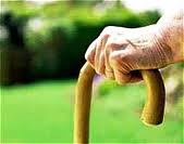 ویژه برنامه "آن روزگاران یاد باد" در دومین بوستان قدیمی پایتخت برگزار می شود