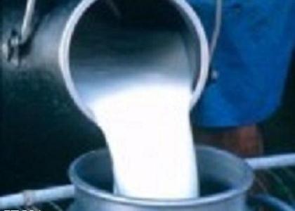 عرضه بیش از 175 هزار تن شیرخام به کارخانه های تولید لبنیات نهاوند