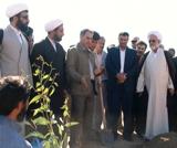 طرح جنگل کاری "جام" کشاورزی ایلام را متحول می کند‏