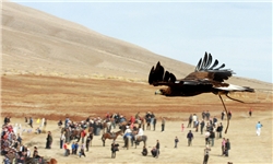 صدور پروانه شکار پرندگان در خراسان جنوبی آغاز شد