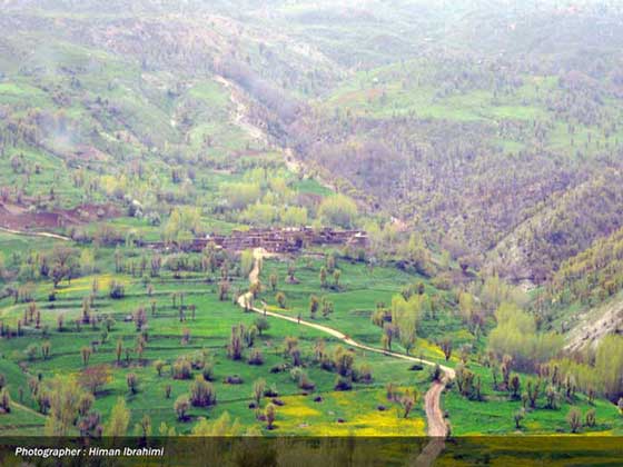 تعلیف دام درچراگاههاي شهرستان مهاباد