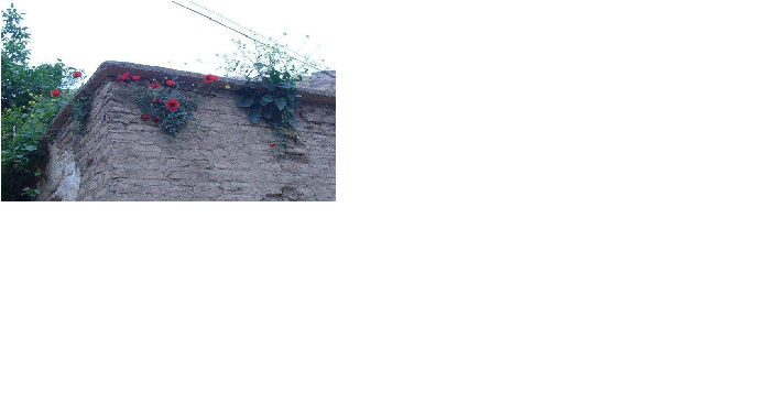 شالان روستایی با طبیعتی بهشتی در کرمانشاه