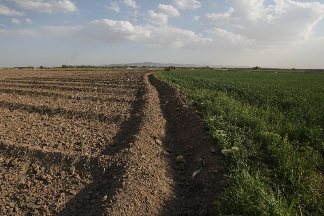 پرداخت بیش از 9 میلیارد ریال به اجرای طرح های كشاورزی شهرستان كیار
