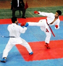 گاز زنجان صدرنشین شد