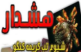 ضرورت پیشگیری از بیماری تب کریمه کنگو
