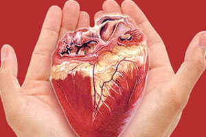 لزوم به اهدا رسیدن سالانه 50 درصد مرگ‌های مغز