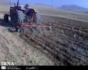 بیش از 500 هزار هکتار اراضی کردستان زیر کشت پاییزه