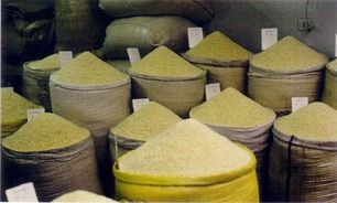 توزیع بیش از 14 هزار تن انواع نهاده های دامی بین دامداران آذربایجان شرقی