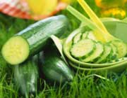 درمورد خیار چه مي دانيد؟