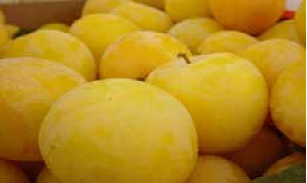 آلو تقویت کننده بدن