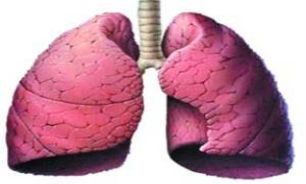 ساخت ریه مصنوعی بر روی یک تراشه