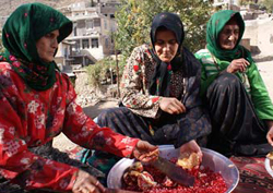 آغاز آیین سنتي « ناردُنگ » در استان چهارمحال و بختياري