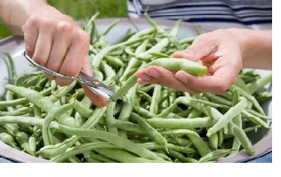 خواص لوبیا سبز