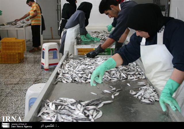 اختصاص 200 میلیارد ریال برای اجرای طرح شیلاتی در مازندران