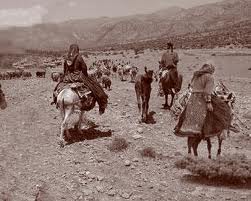 کوچ عشایر استان همدان به مناطق گرمسیری