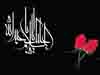 قافله اباعبدالله کم‌کم به کربلا می‌رسد