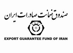 رشد 50 درصدي پوشش هاي حمايتي صندوق ضمانت