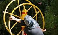 زنان به ورزش بیشتر توجه کنند!