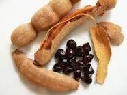 تمرهندی و خواص آن